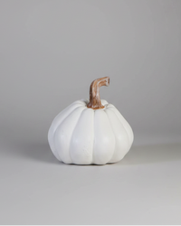 Natural Shape White Pumpkin