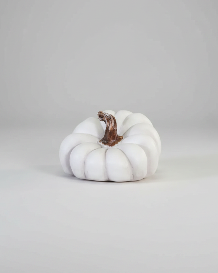 Natural Shape White Pumpkin