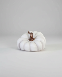 Natural Shape White Pumpkin