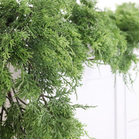 Northern White Cedar Garland Real Touch 68"L