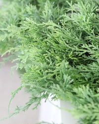 Northern White Cedar Garland Real Touch 68"L