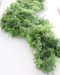 Northern White Cedar Garland Real Touch 68"L