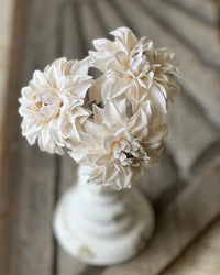 Damask Dahlia Bundle Cream 10"L