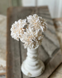Damask Dahlia Bundle Cream 10"L