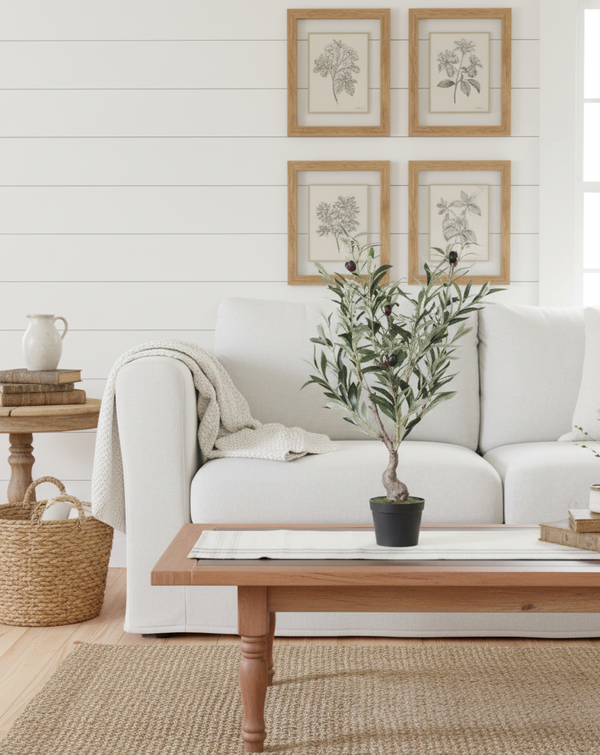 Potted Olive Bush 26"