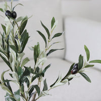 Potted Olive Bush 19"