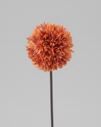 Allium Stem 26" Orange