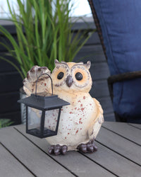 Chubby Resin Owl With Solar Lantern