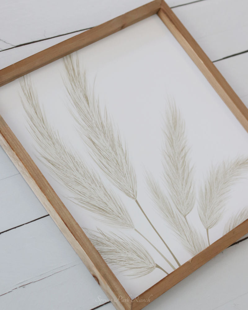 Pampas Grass Canvas