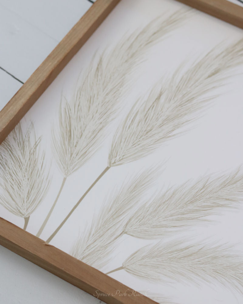 Pampas Grass Canvas