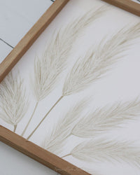 Pampas Grass Canvas