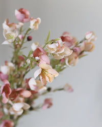 Pink Chamelaucium Spray 35"
