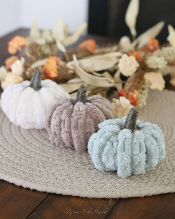 Plush Velvet Neutral Pumpkin