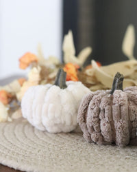 Plush Velvet Neutral Pumpkin