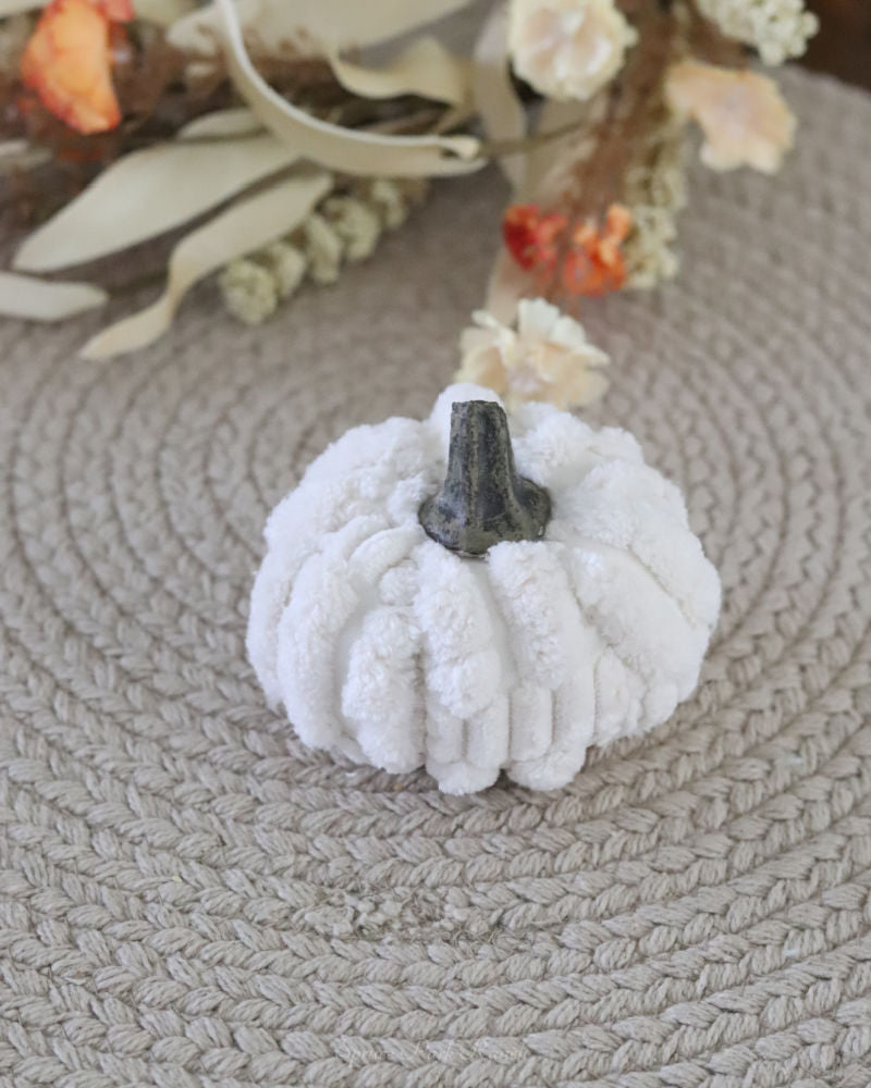 Plush Velvet Neutral Pumpkin