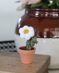 Mini Pompom Forever Flower