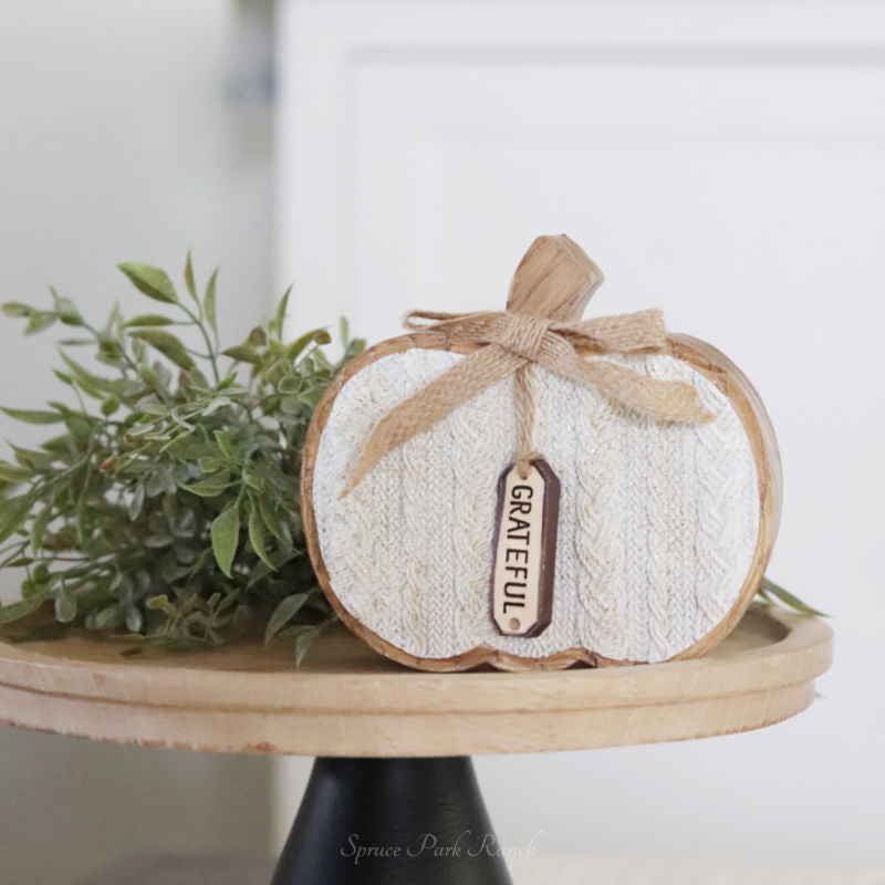 Cable Knit Textured Pumpkin Block