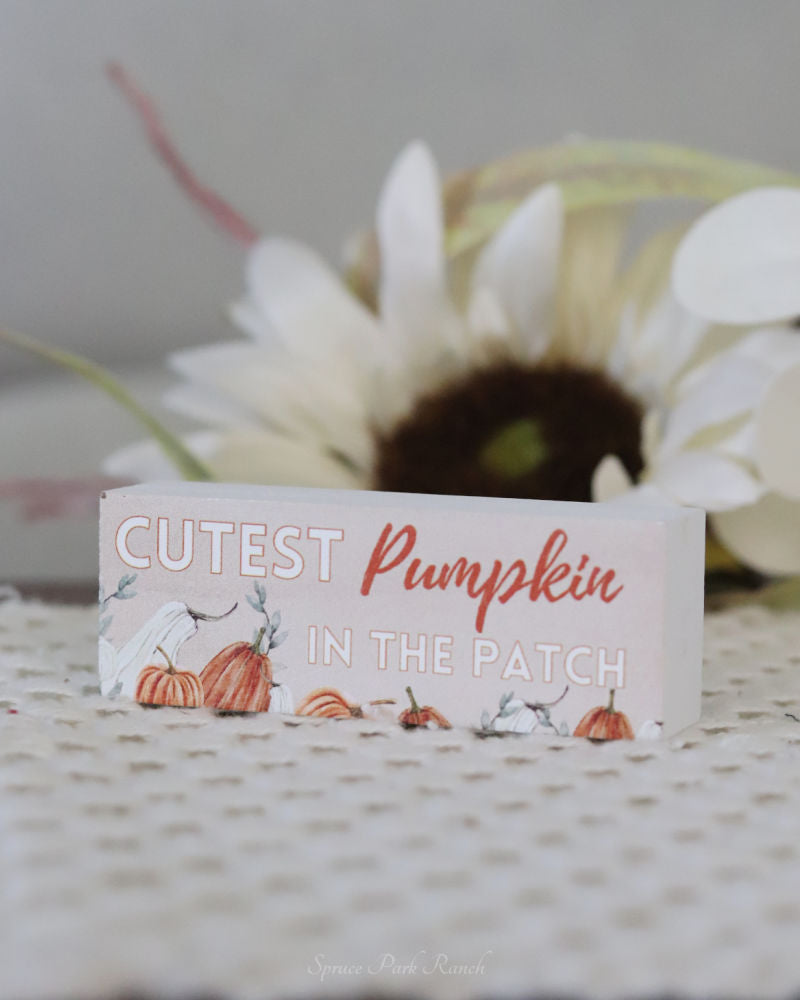 Pumpkin Patch Mini Block