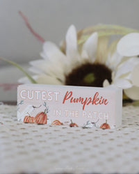 Pumpkin Patch Mini Block