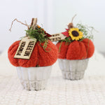 Pumpkin Muffin