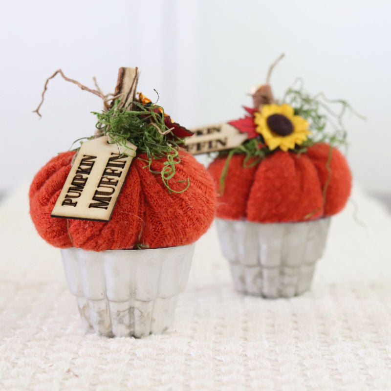 Pumpkin Muffin