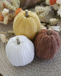 Knit Neutral Pumpkin