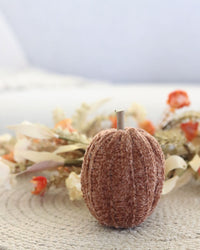 Knit Neutral Pumpkin