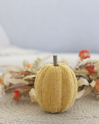 Knit Neutral Pumpkin