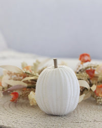Knit Neutral Pumpkin