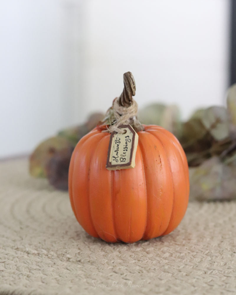 Harvest Pumpkin With Tag