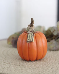 Harvest Pumpkin With Tag