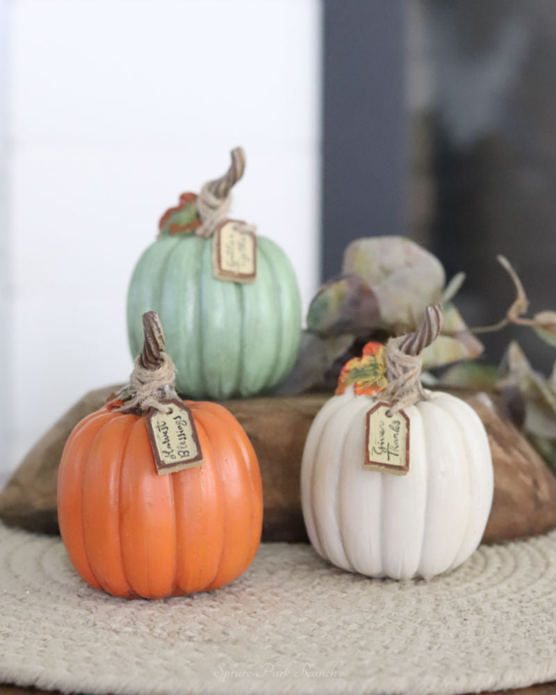 Harvest Pumpkin With Tag