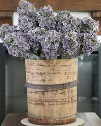 Purple Cone Hydrangea Stem 28"
