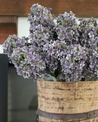 Purple Cone Hydrangea Stem 28"