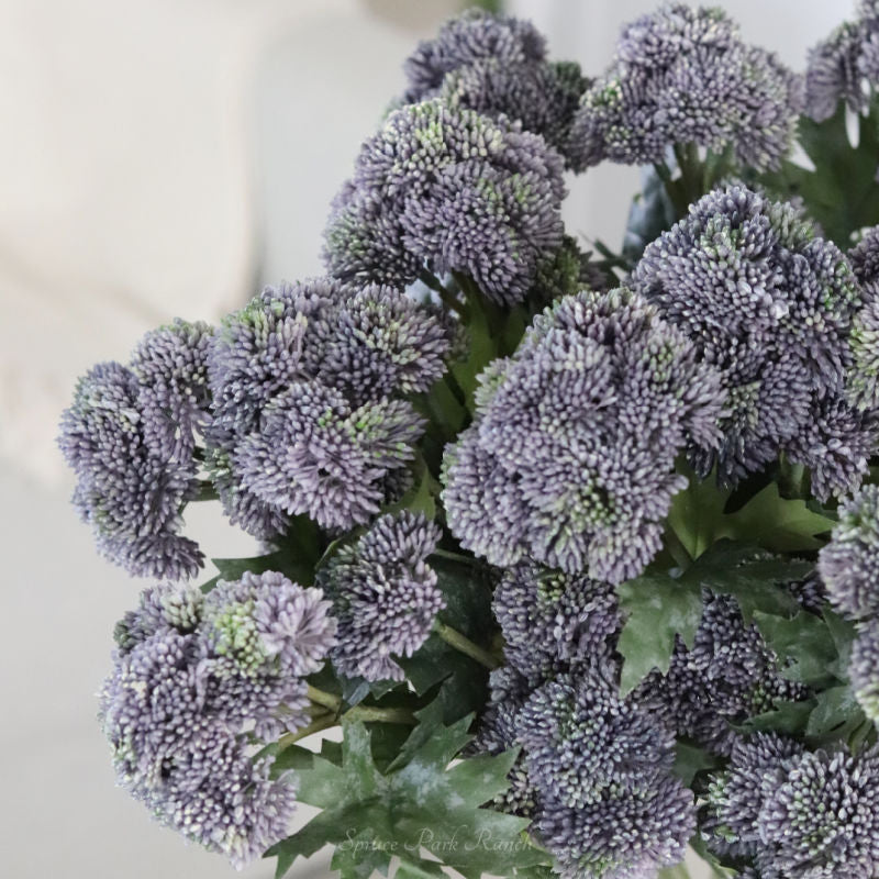 Sedum Stem Purple 28"