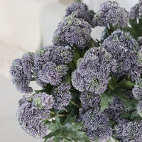 Sedum Stem Purple 28"