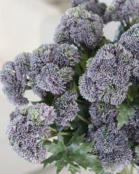 Sedum Stem Purple 28"