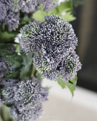 Sedum Stem Purple 28"