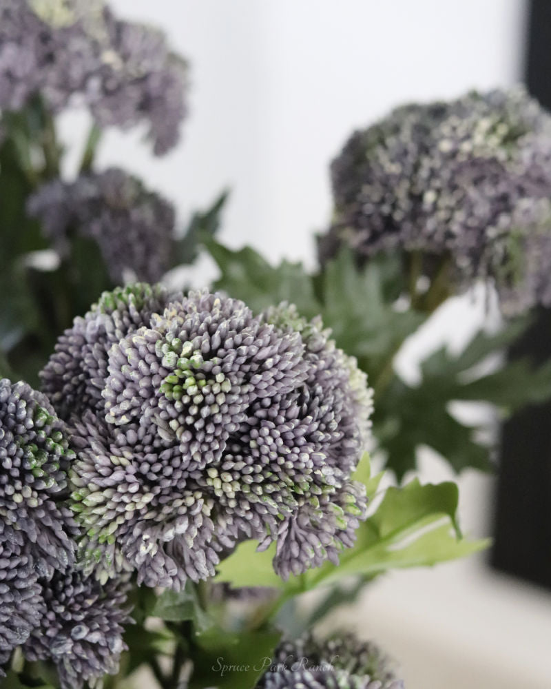 Sedum Stem Purple 28"