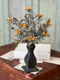 Coquette Blooms Greenery Collection