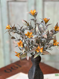 Coquette Blooms Greenery Collection