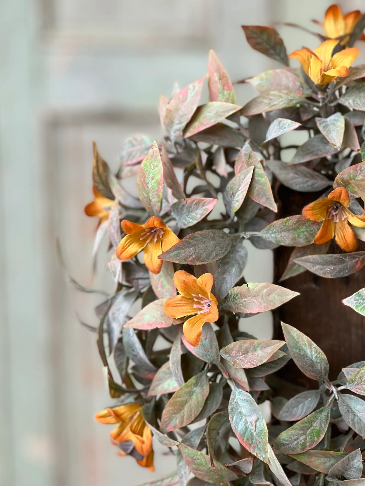 Coquette Blooms Greenery Collection