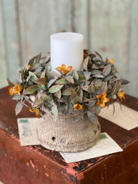 Coquette Blooms Greenery Collection