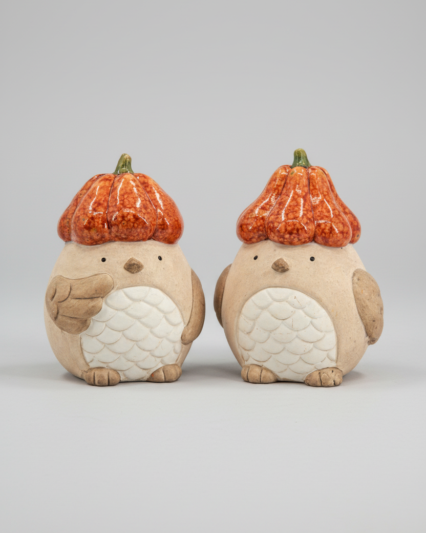 Pumpkin Hat Bird