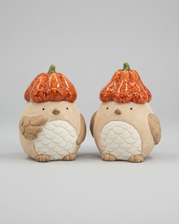 Pumpkin Hat Bird