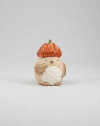 Pumpkin Hat Bird