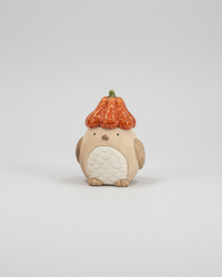 Pumpkin Hat Bird