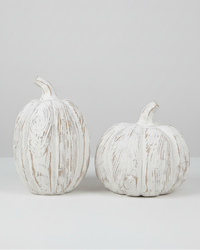 Distressed White Pumpkin