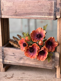 Terracotta Luring Poppy Bundle Real Touch 10"