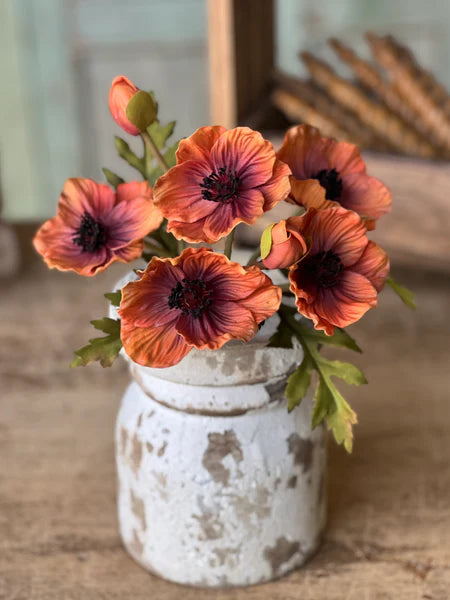 Terracotta Luring Poppy Bundle Real Touch 10"